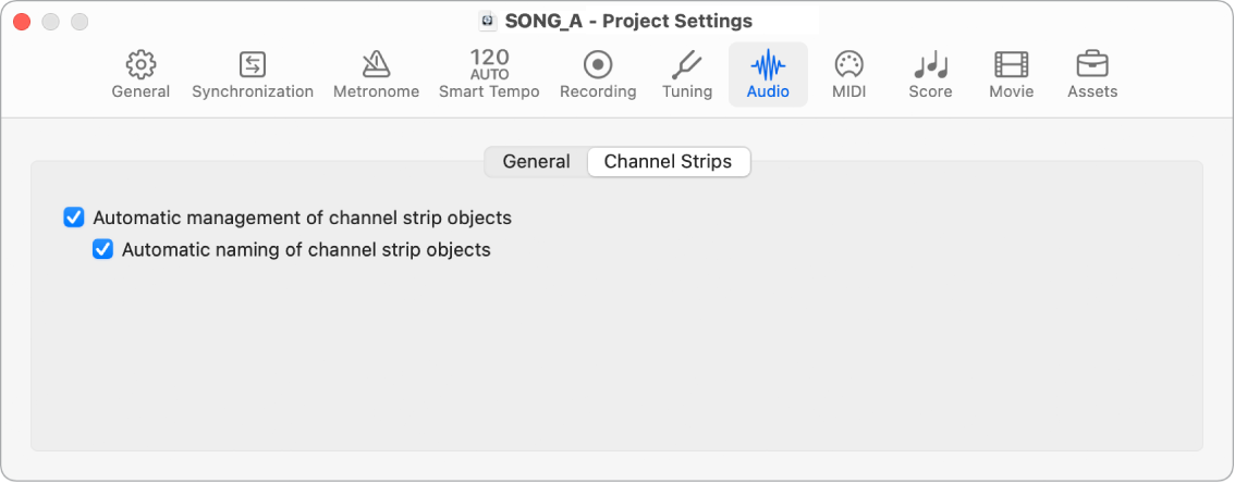 Figure. Channel Strips Audio project settings.