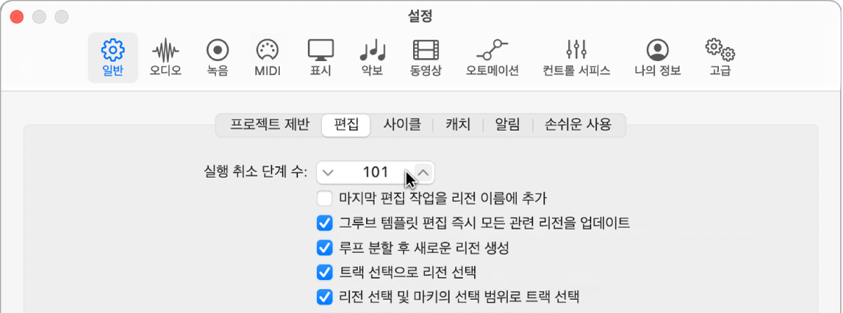 그림. 일반 설정의 편집 패널의 ‘실행 취소 단계 수’필드.