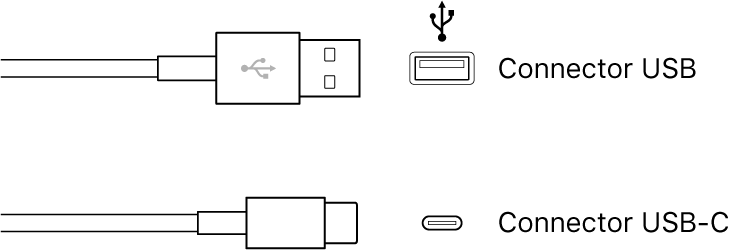 Il·lustració de connectors USB.