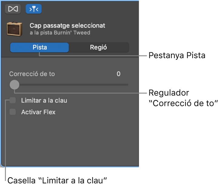 L’inspector de l’editor d’àudio en mode Pista, amb el regulador “Correcció de to” i la casella “Limitar a la clau”.