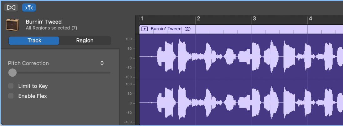 Audio Editor inspector showing Track controls.
