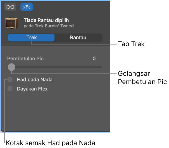 Pemeriksa Editor Audio dalam mod Trek, menunjukkan gelangsar Pembetulan Pic dan kotak semak Hadkan pada Kunci.