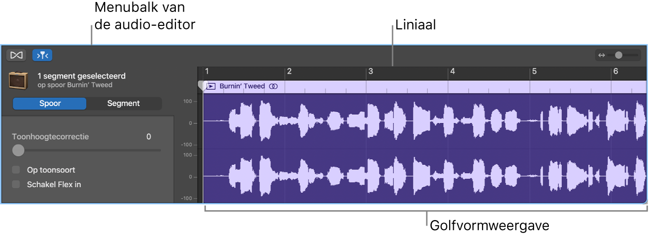 Audio-editor met geselecteerd segment.