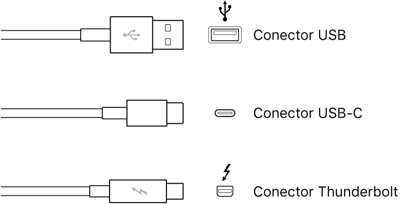 Ilustração dos tipos de conectores USB e FireWire.