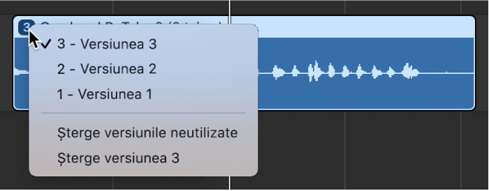 Afișând meniul pop-up deschis pentru dosarul de versiuni.