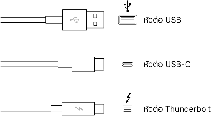 ภาพประกอบของตัวเชื่อมต่อ USB และ FireWire ชนิดต่างๆ