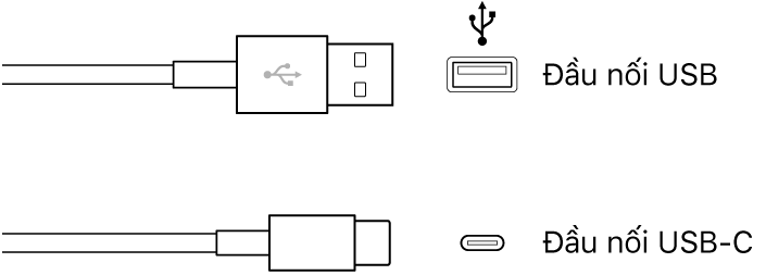 Hình minh họa đầu nối USB.