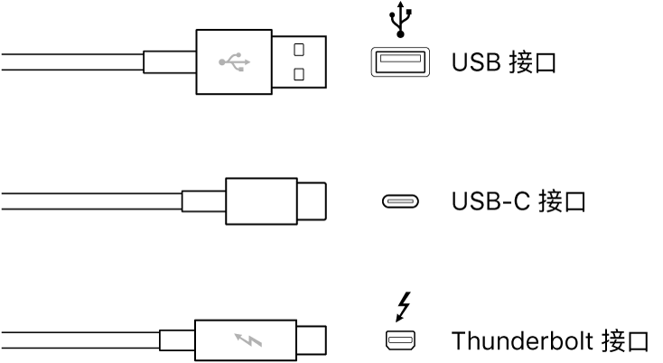 USB 和 FireWire 接頭類型的插圖。