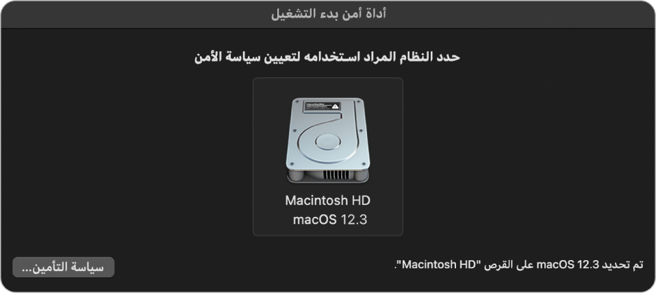 جزء منتقي نظام التشغيل في أداة أمن بدء التشغيل، يعرض Macintosh HD المطلوب لتعيين سياسة التأمين. في أسفل اليسار.يوجد زر لعرض خيارات سياسة التأمين لوحدة التخزين المحددة.