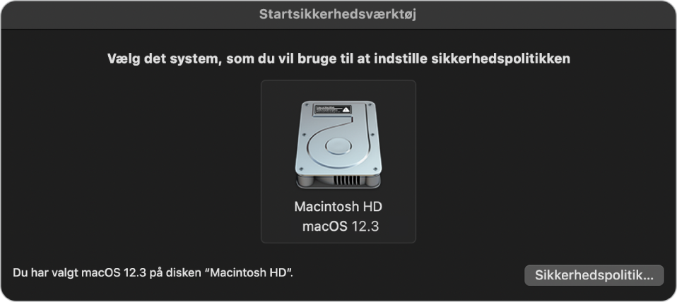 Vinduet til valg af operativsystem i Startsikkerhedsværktøj, der viser den Macintosh HD-disk, der skal bruges til udpegning af en sikkerhedspolitik. Nederst til højre er der en knap, der kan vise den valgte enheds muligheder for Sikkerhedspolitik.
