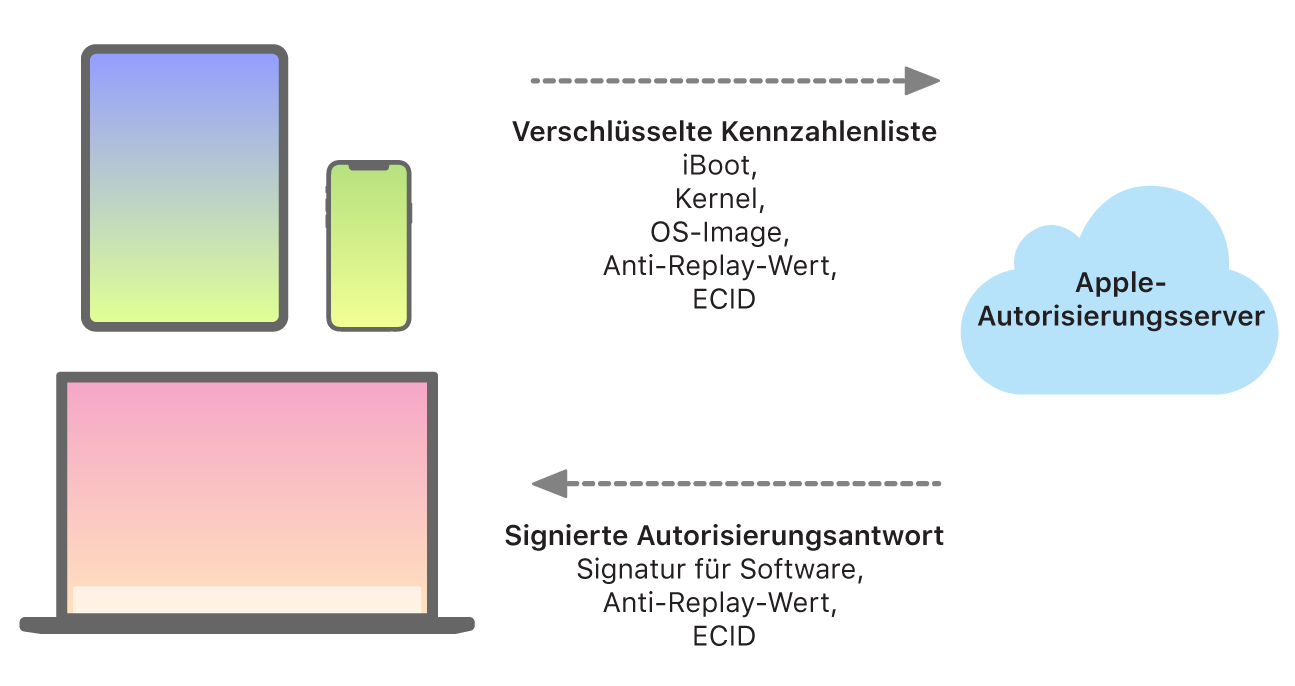 Ein Diagramm zeigt, wie Apple-Geräte Informationen an die Apple-Server für die Autorisierung senden und die Server eine Rückmeldung zurücksenden
