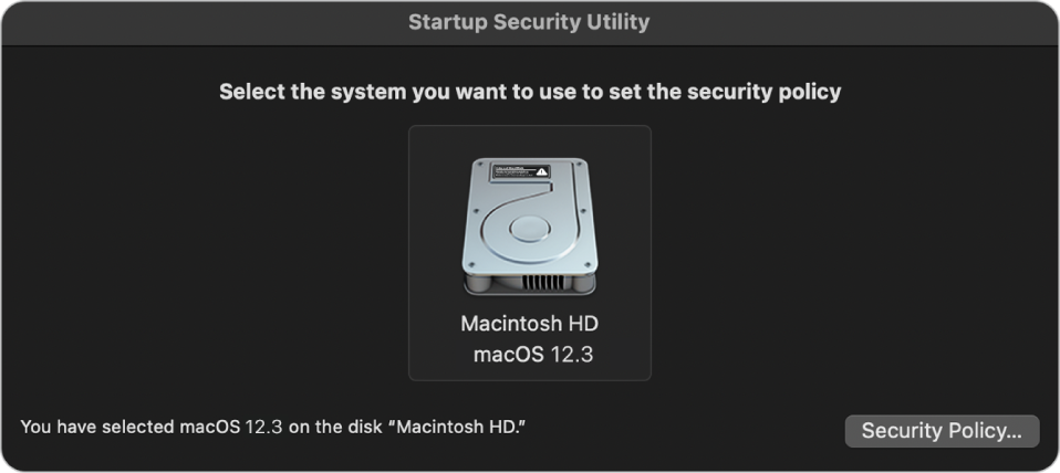 The operating system picker pane in Startup Security Utility, showing the Macintosh HD wanted for designating a security policy. At the bottom right is a button to bring up the Security Policy options for the selected volume.