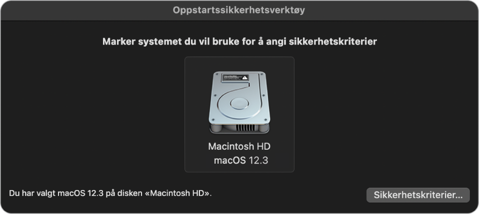 Panelet for operativsystemvelger i Oppstartssikkerhetsverktøy, som viser Macintosh HD som er ønsket for å angi et sikkerhetsregelsett. Nederst til høyre er det en knapp for å vise valgene for sikkerhetsregelsettet for det markerte volumet.