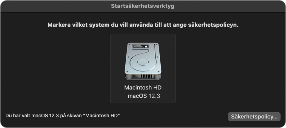 Operativsystemsväljarpanelen i Startsäkerhetsverktyg visar den Macintosh HD som önskas för att ange en säkerhetspolicy. Längst ned till höger finns en knapp som öppnar säkerhetspolicyalternativ för den markerade volymen.