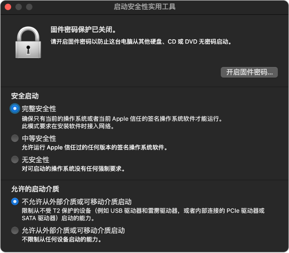 “启动安全性实用工具”主窗口显示有关固件密码保护的备注，后面“安全启动”部分下方有三个安全性选项，“允许的启动介质”部分下方有两个安全性选项。