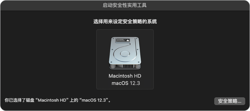 “启动安全性实用工具”中的操作系统选择器面板，显示要指定其安全性策略的 Macintosh HD。右下角是为所选宗卷打开“安全性策略”选项的按钮。