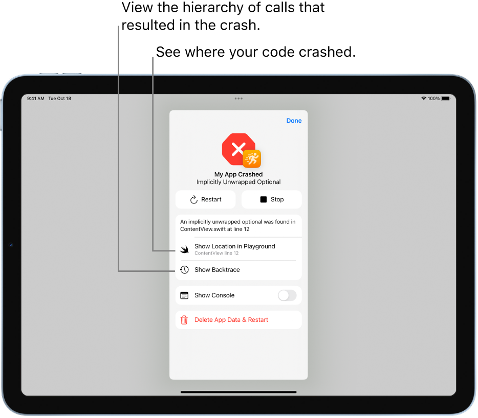 A screen showing information about a crash that occurred during the running of the app.