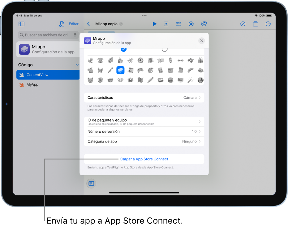 La ventana Configuración de la app de una app nueva. Puedes usar los controles de esta ventana para identificar tu app y subirla a App Store Connect.