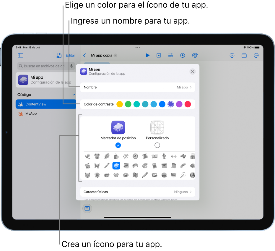 La ventana Configuración de la app mostrando el nombre de la app, los colores y la ilustración que se usaron para crear el ícono de la app.