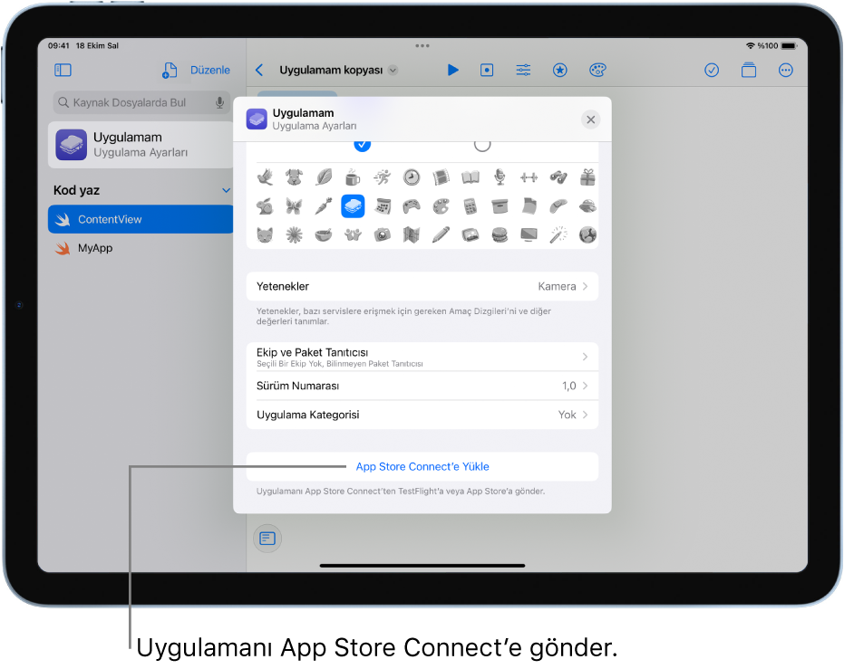 Yeni bir uygulama için Uygulama Ayarları penceresi. Uygulamanı tanımlamak için bu penceredeki denetimleri kullanabilir ve onu App Store Connect’e yükleyebilirsin.