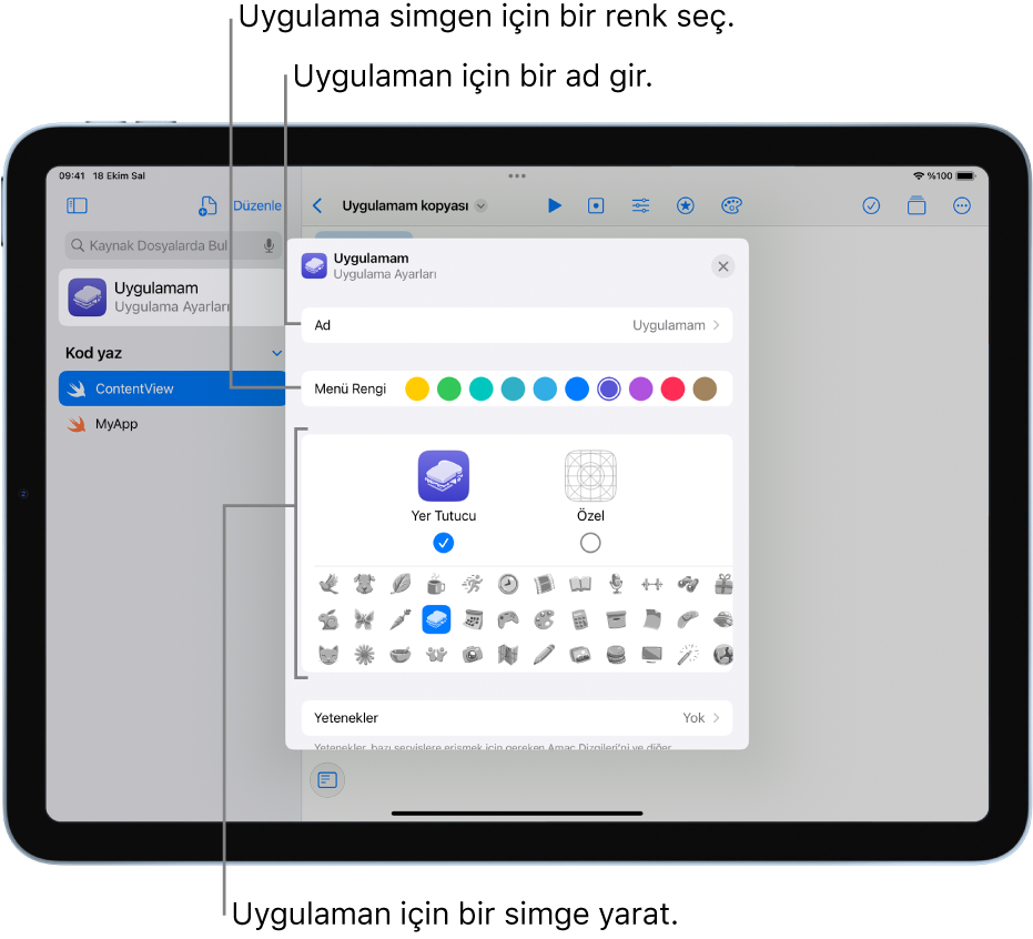 Uygulamanın adını ve uygulama simgesi yaratmak için kullanılabilecek renkleri ve resimleri gösteren uygulamaya ait Uygulama Ayarları.