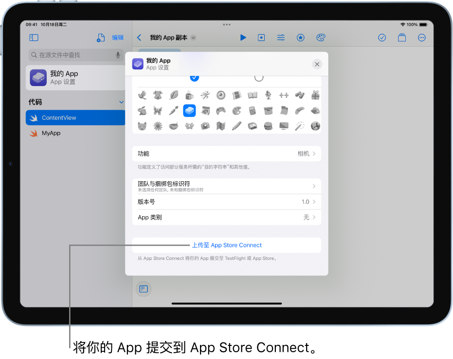 新 App 的“App 设置”窗口。你可以使用此窗口中的控制以标识你的 App 并将它上传到 App Store Connect。