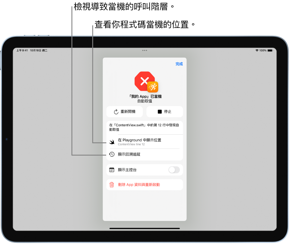 畫面顯示執行 App 程式碼期間發生當機的相關資訊。