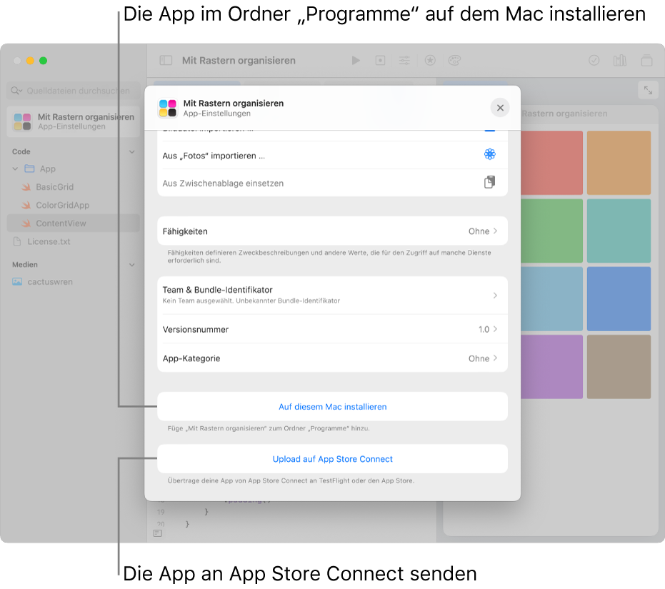 Das Fenster „App-Einstellungen“ für eine App, die Inhalte in einer Rasterdarstellung organisiert. Du kannst die Steuerelemente in diesem Fenster verwenden, um deine App im Ordner „Programme“ auf dem Mac zu installieren, und kannst die App zu App Store Connect hochladen.