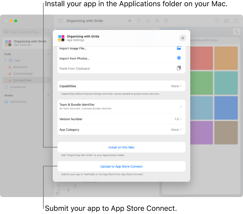 The App Settings window for an app that organizes content using a grid view. You can use the controls in this window to install your app in the Applications folder on your Mac, and upload your app to App Store Connect.