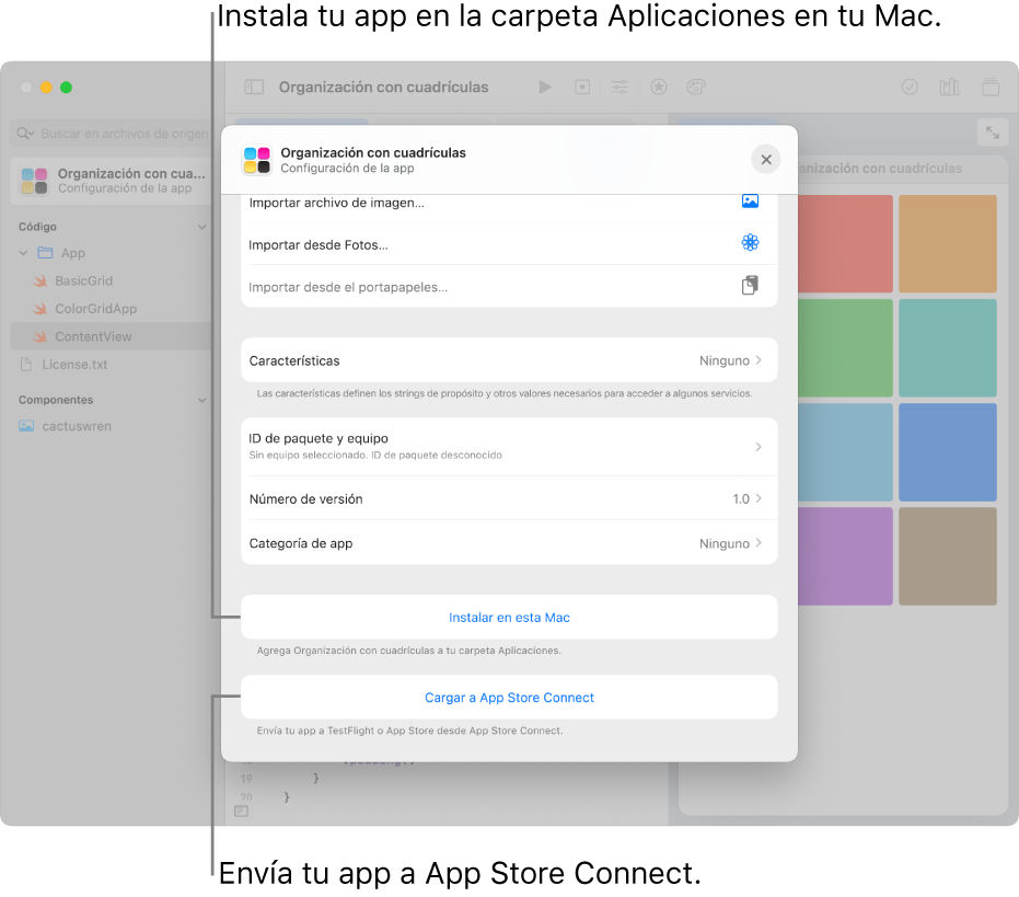 La ventana Configuración de app de una app que organiza el contenido utilizando una visualización de cuadrícula. Puedes usar los controles de esta ventana para instalar tu app en la carpeta Aplicaciones de tu Mac, y enviar tu app a App Store Connect.