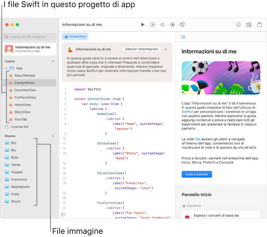 Un playground di app con la relativa guida aperta nella barra laterale sulla destra, con il pulsante “Avvia la guida passo passo”. Viene mostrata l'area di programmazione; la barra laterale sinistra è aperta e mostra i file Swift e le altre risorse nel playground di app.