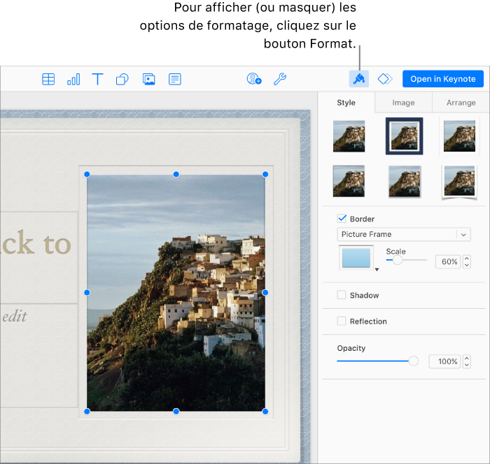 Une image de la présentation est sélectionnée et les commandes disponibles pour modifier son aspect (par exemple la bordure et les ombres) s’affichent dans la barre latérale à droite.