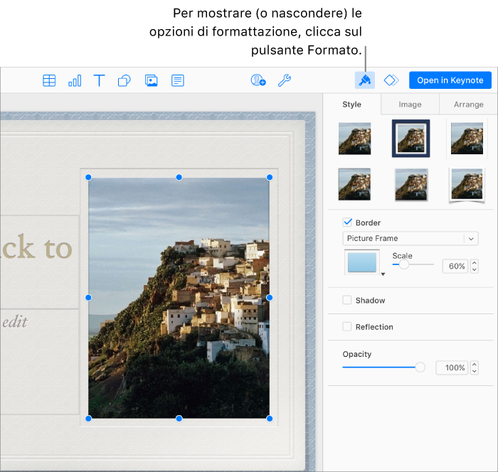 È selezionata un’immagine in una presentazione, e i controlli per modificarne l’aspetto (per esempio, le caselle bordi e ombre) sono mostrati nella barra laterale sulla destra.