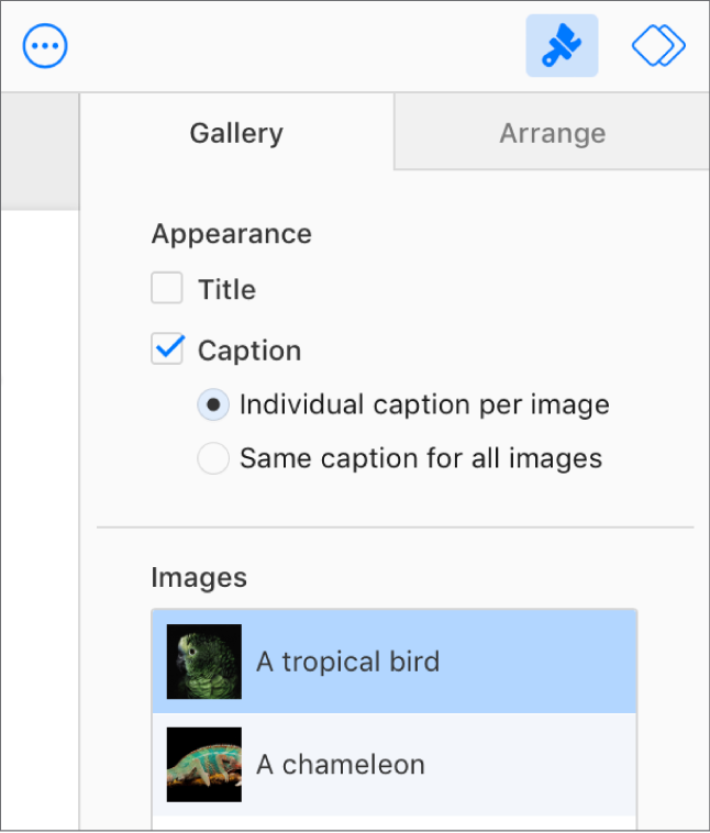 「フォーマット」サイドバーの「ギャラリー」タブ。「キャプション」チェックボックスが選択されており、「イメージごとのキャプション」と「全イメージで共通のキャプション」のオプションがあります。コントロールの下には、各イメージのサムネールが表示され、その右側にキャプションが表示されます。