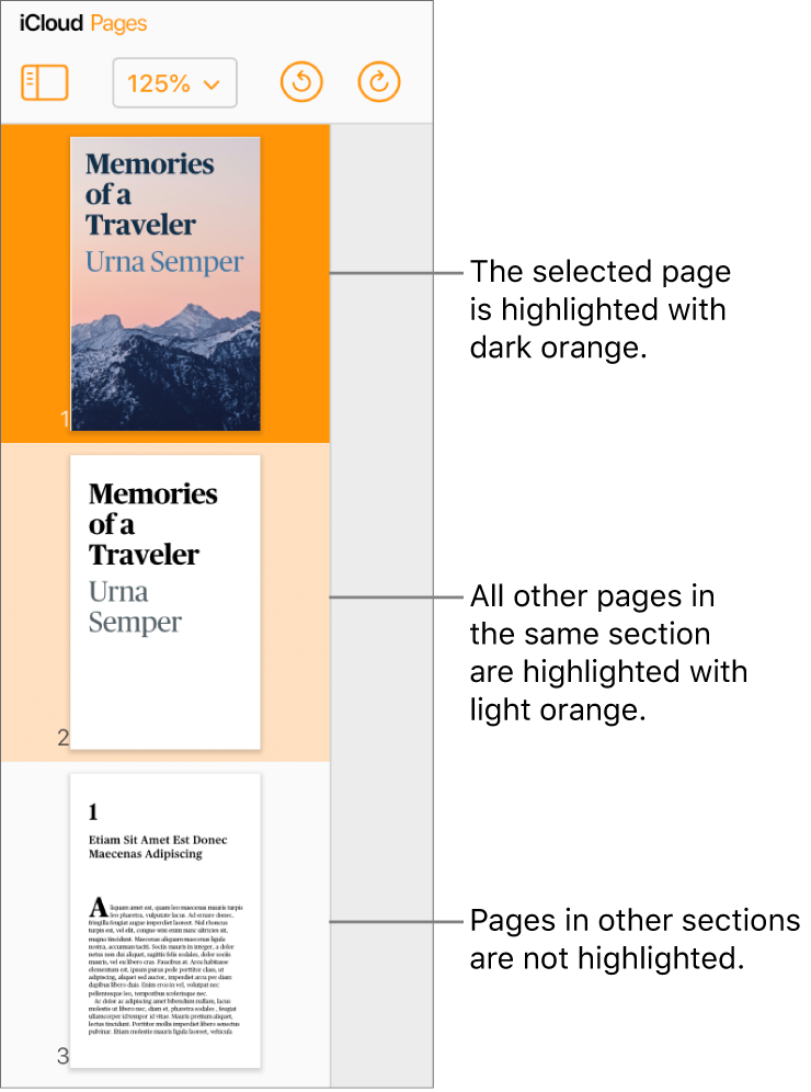 Page Thumbnails in the left sidebar with the selected page highlighted in dark orange and one other page in the same section highlighted in light orange. A page in a different section has no highlighting behind it.