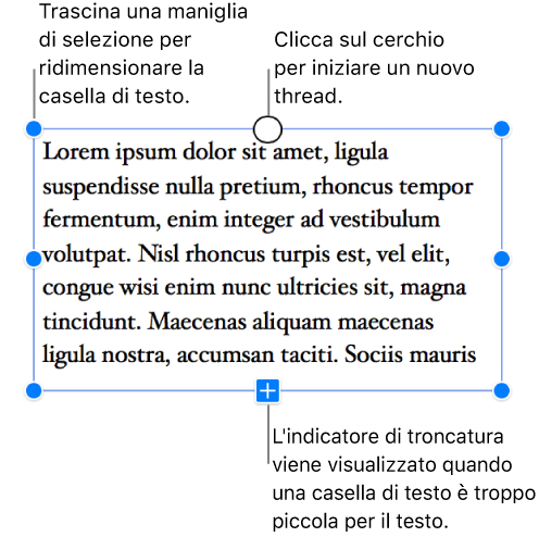 Le maniglie blu di selezione intorno alla casella indicano che è selezionata, l’indicatore di troncatura in fondo significa che parte del testo è eccedente: in questo caso puoi cliccare sul cerchio in alto per iniziare un nuovo thread.