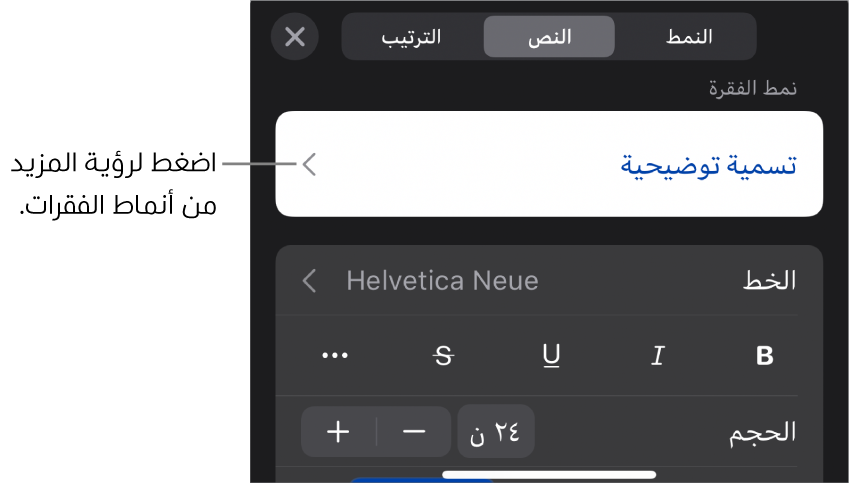 القائمة تنسيق تعرض عناصر التحكم في النص لإعداد أنماط الأحرف والفقرات والخط والحجم واللون.