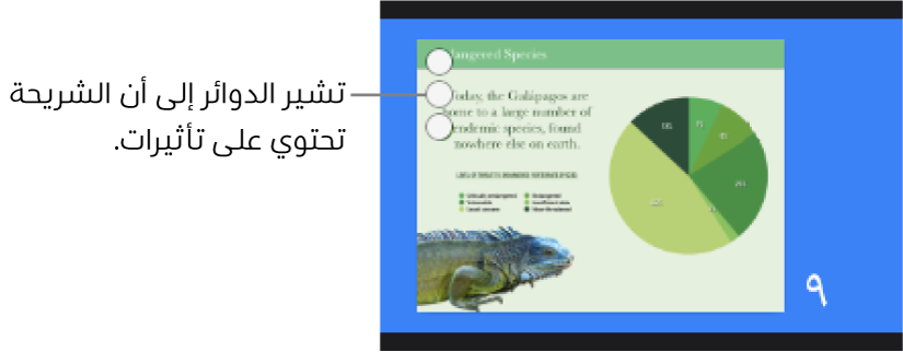 شريحة وفي زاويتها العلوية اليسرى ثلاث دوائر تشير إلى أن الشريحة تحتوي على تأثيرات.