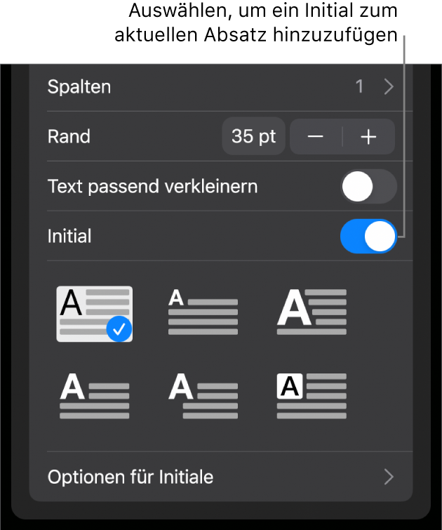 Die Steuerelemente für das Initial befinden sich unten im Menü „Text“.