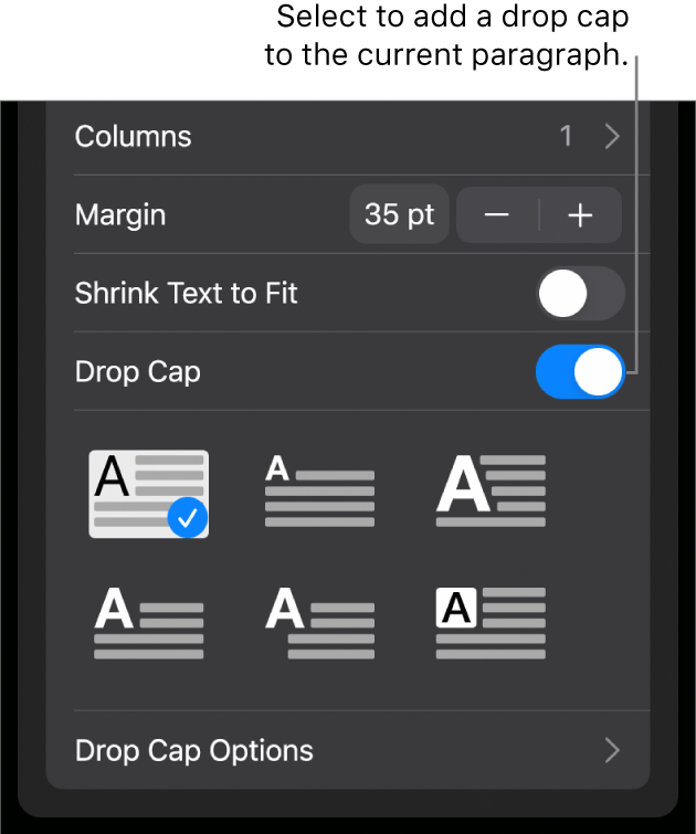 The Drop Cap controls located at the bottom of the Text menu.