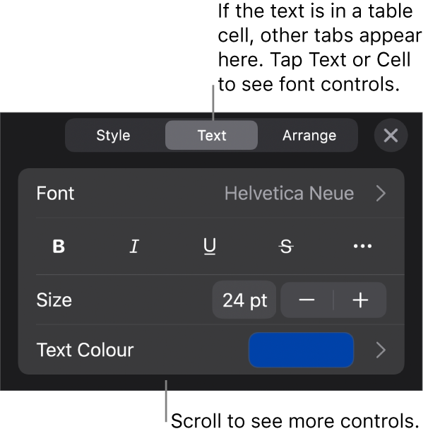 Text controls in the Format menu for setting paragraph and character styles, font, size and colour.