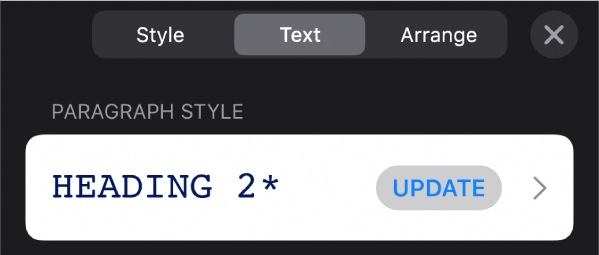 A paragraph style with an asterisk next to it and an Update button on the right.