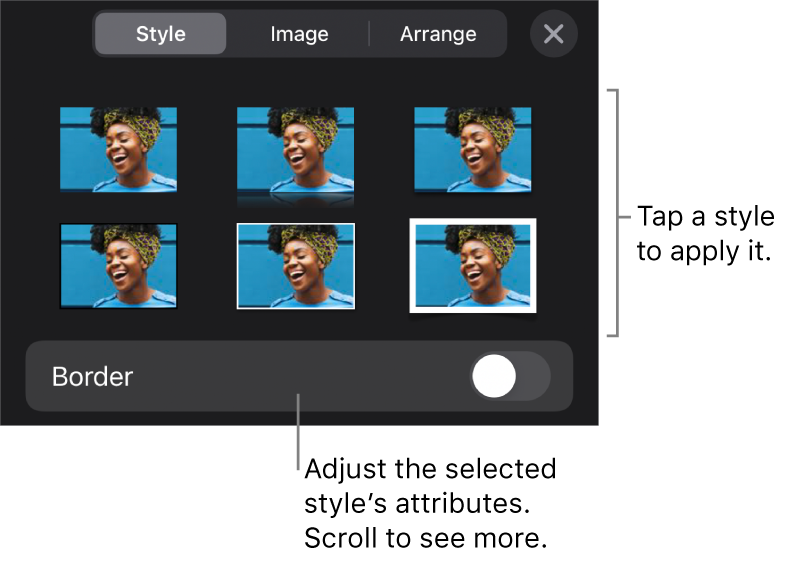 The Style tab of the Format menu with object styles at the top and a control below them to change the border.