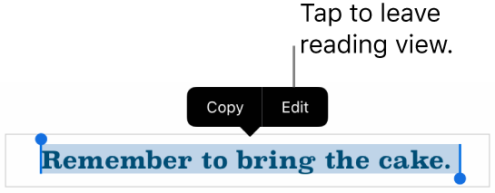 A sentence is selected, and above it is a contextual menu with Copy and Edit buttons.