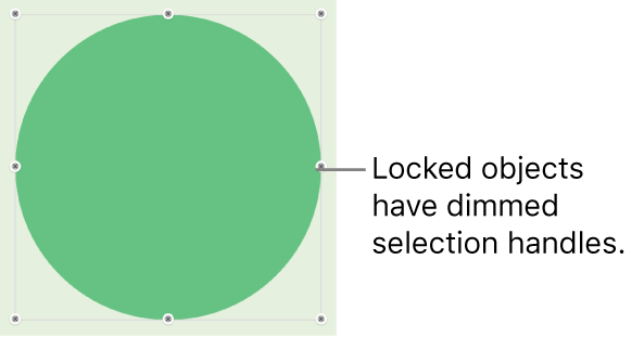 A locked object with dimmed selection handles.