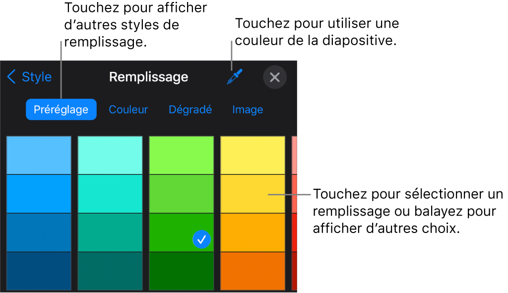 Options de remplissage dans l’onglet Style.