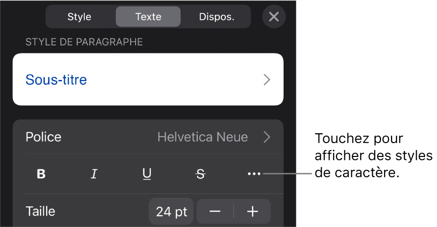 Les commandes de mise en forme avec les styles de paragraphe en haut, suivis des commandes de police. En dessous de Police se trouvent les boutons Gras, Italique, Souligné, Barré et « Plus d’options de texte ».