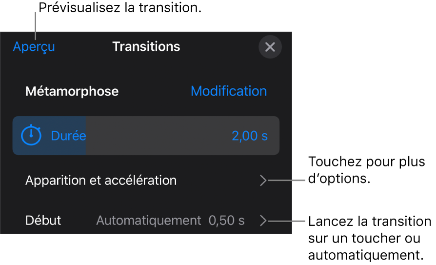 Commandes Métamorphose de la sous-fenêtre Transitions.