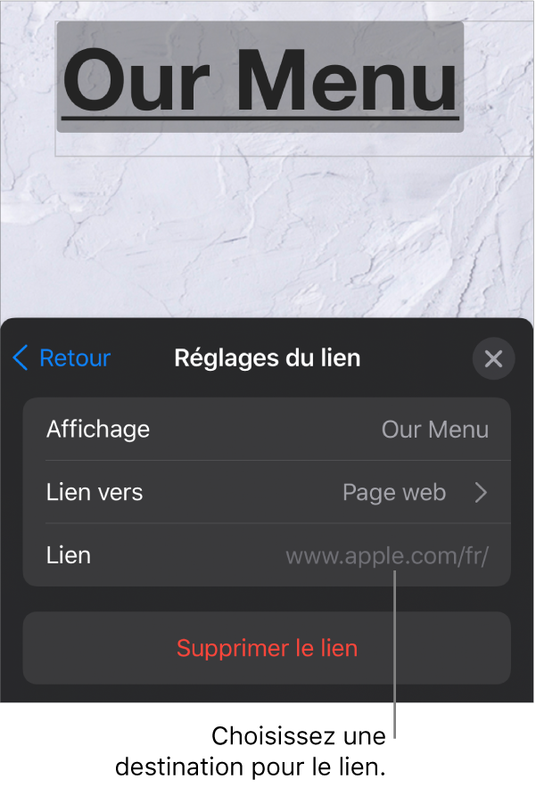 Les commandes « Réglages du lien » avec les champs Afficher, « Lier vers » (défini sur « Page web ») et Lien. Le bouton « Supprimer le lien » est situé en bas.