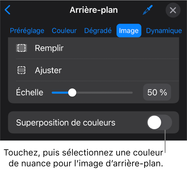 Les commandes Arrière-plan avec une image définie comme arrière-plan de la diapositive et la commande Superposition de couleurs en bas.